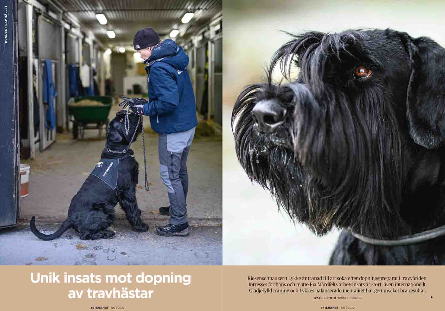 Hundsport reportage Fotograf Maria Lindberg-4